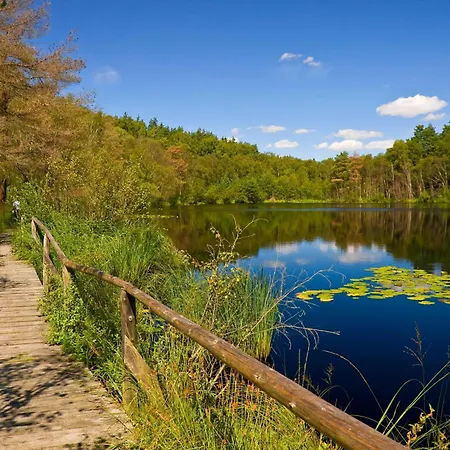 Fischotter - In Der Hafenresidenz Mit Terrasse&hafenblick